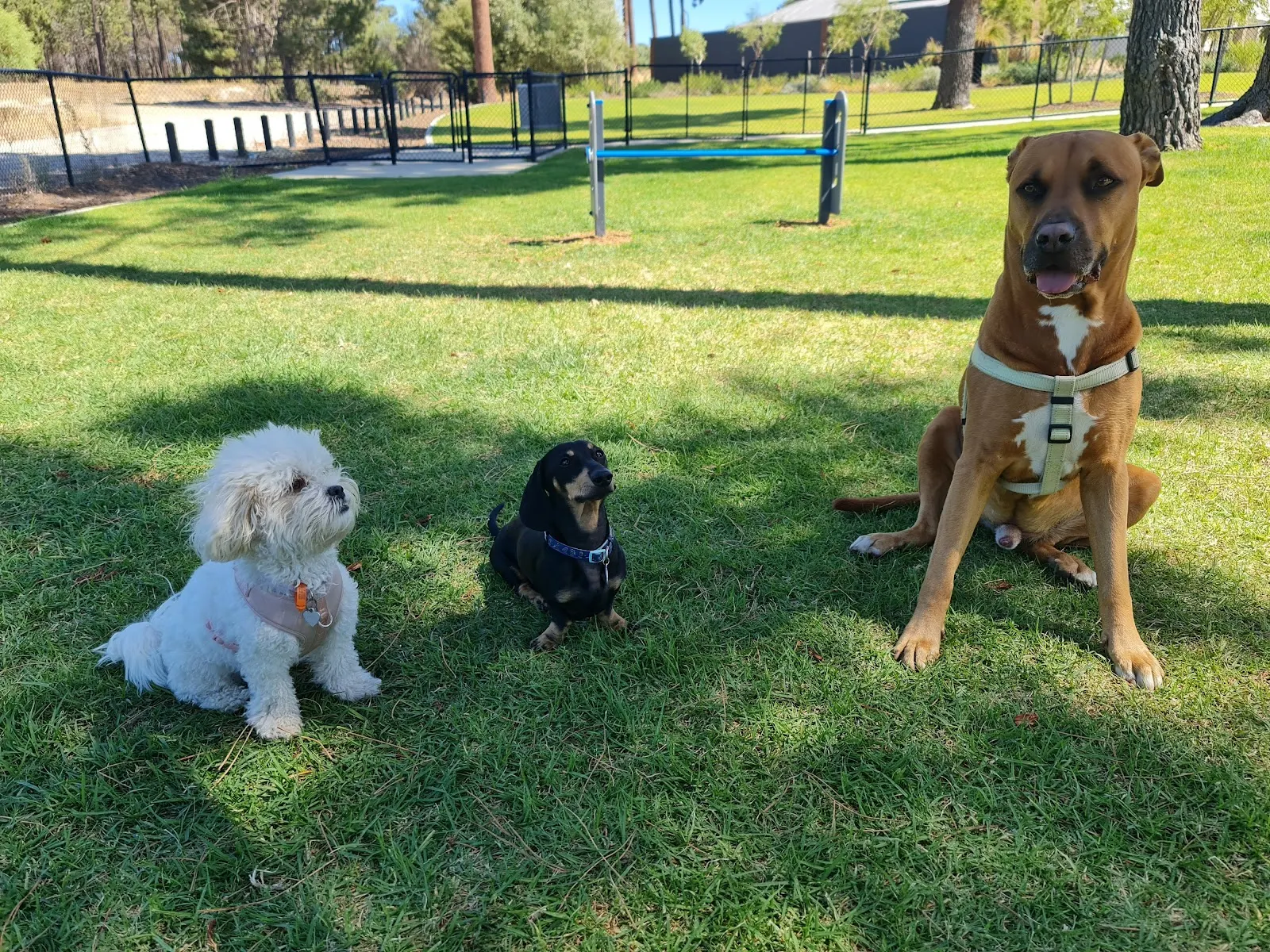 Ellenbrook (Cumberland Ave) Fenced Dog Park dog park