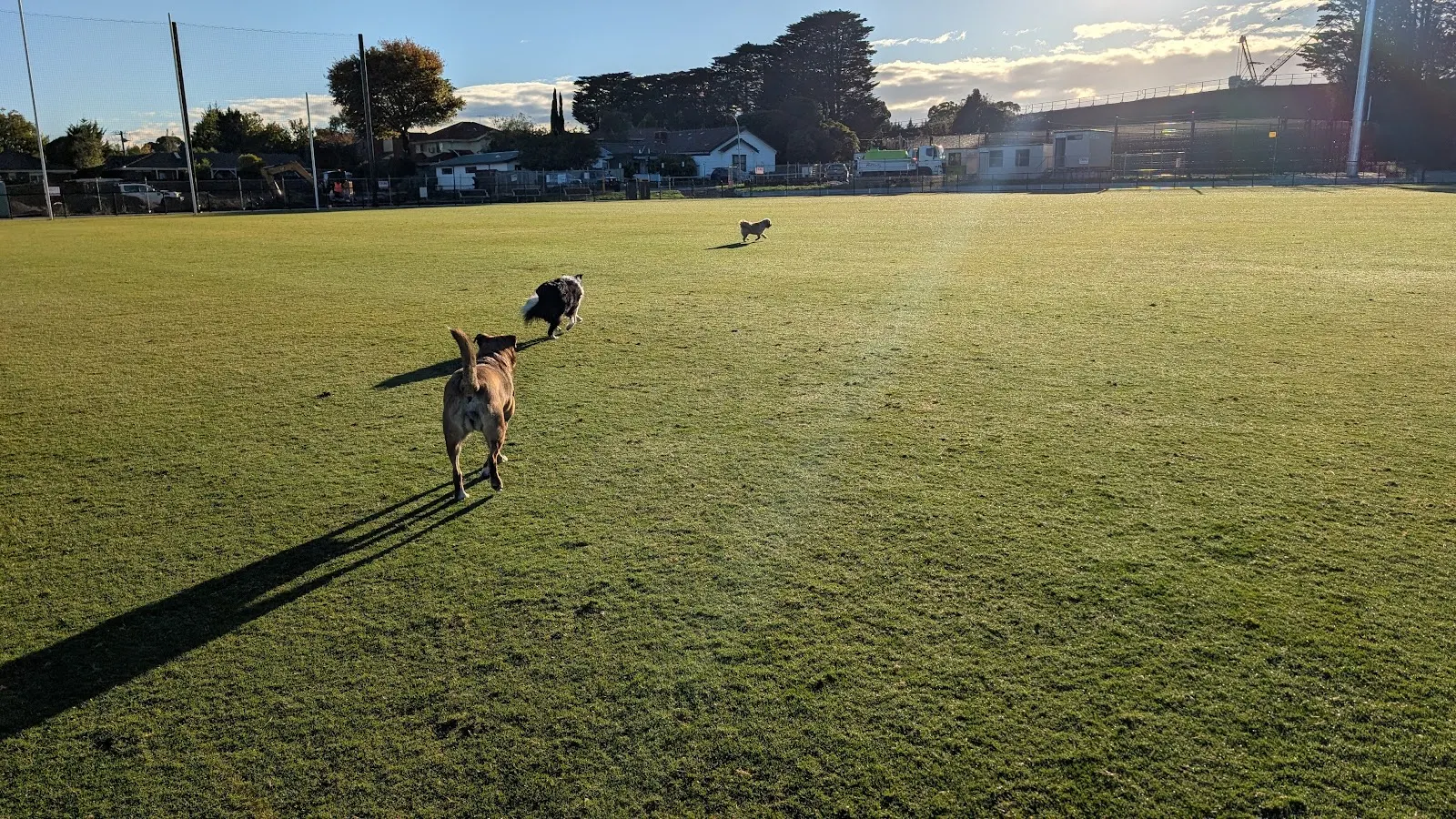 Mt Waverley Reserve Dog Off Leash Area dog park