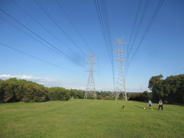 Janice Road Reserve Dog Off Leash Area dog park