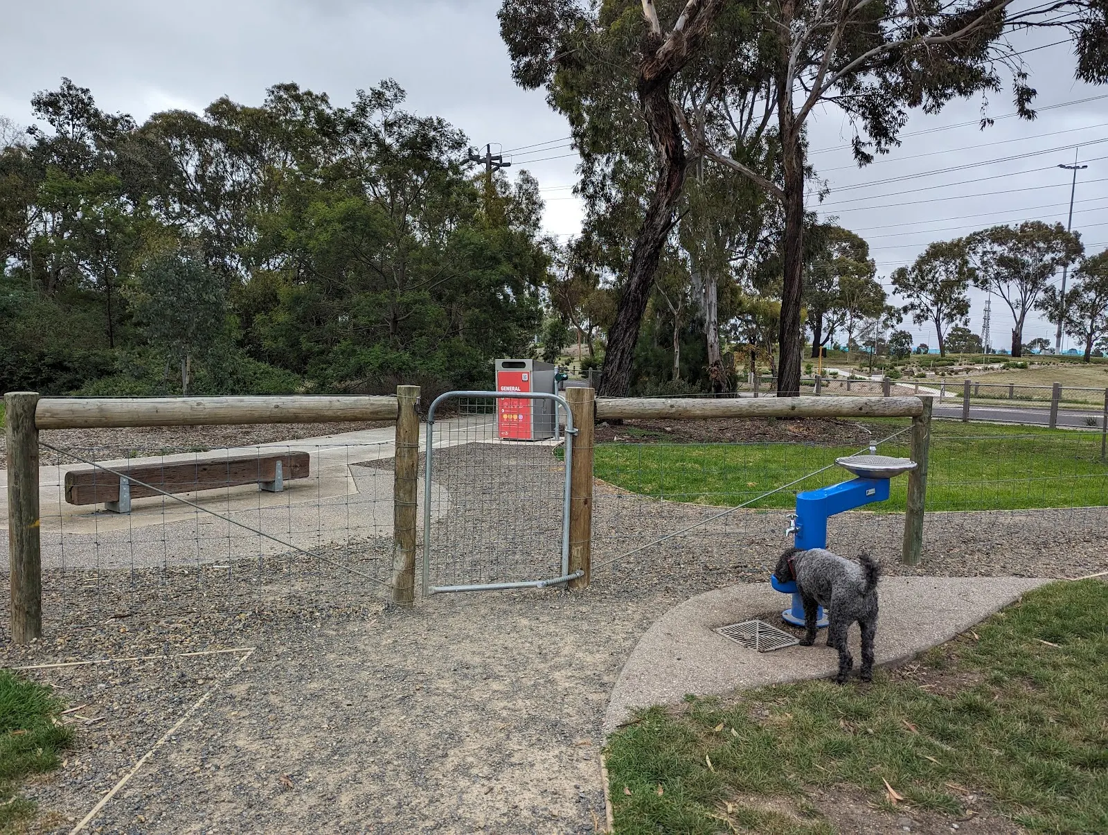 Hosken Reserve Dog Off Leash Area dog park