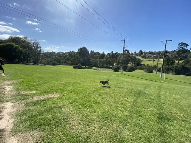 Eram Park Dog Off Leash Area dog park