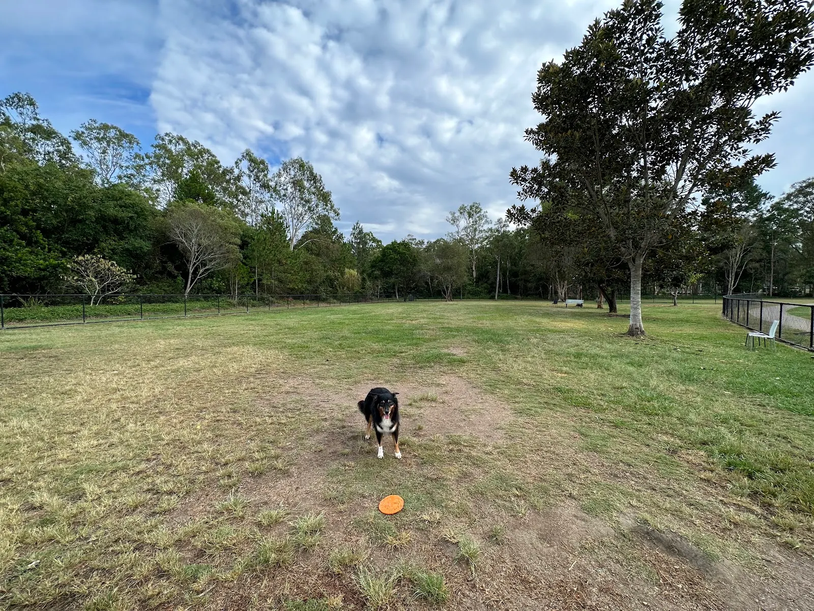Calamvale Off Leash Dog Park dog park