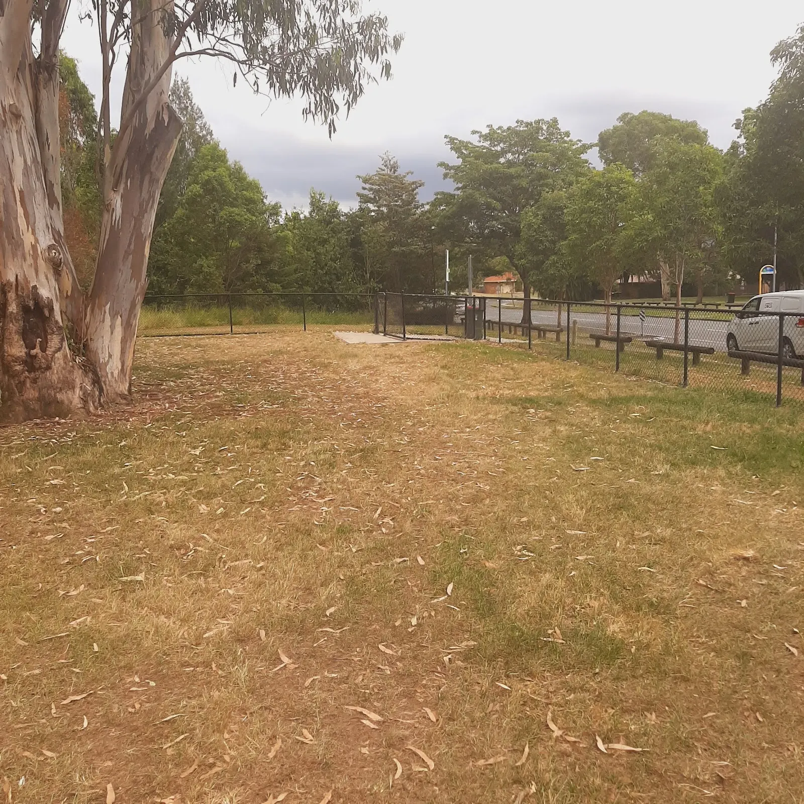 Keryn Place Park Fenced Dog Park dog park