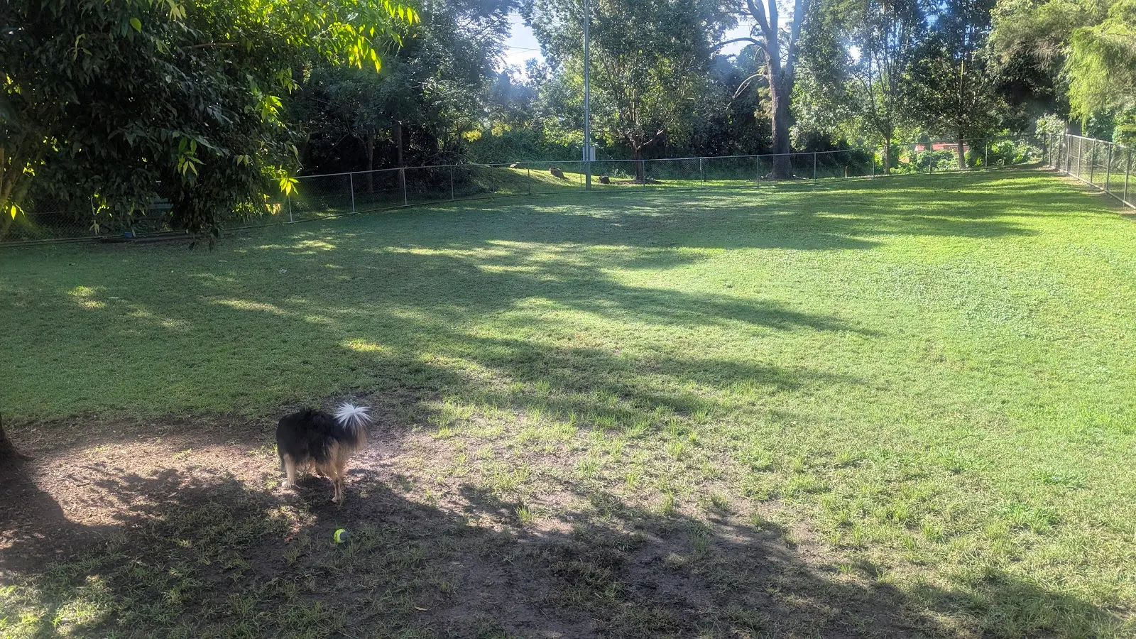 Canungra Dog Park dog park
