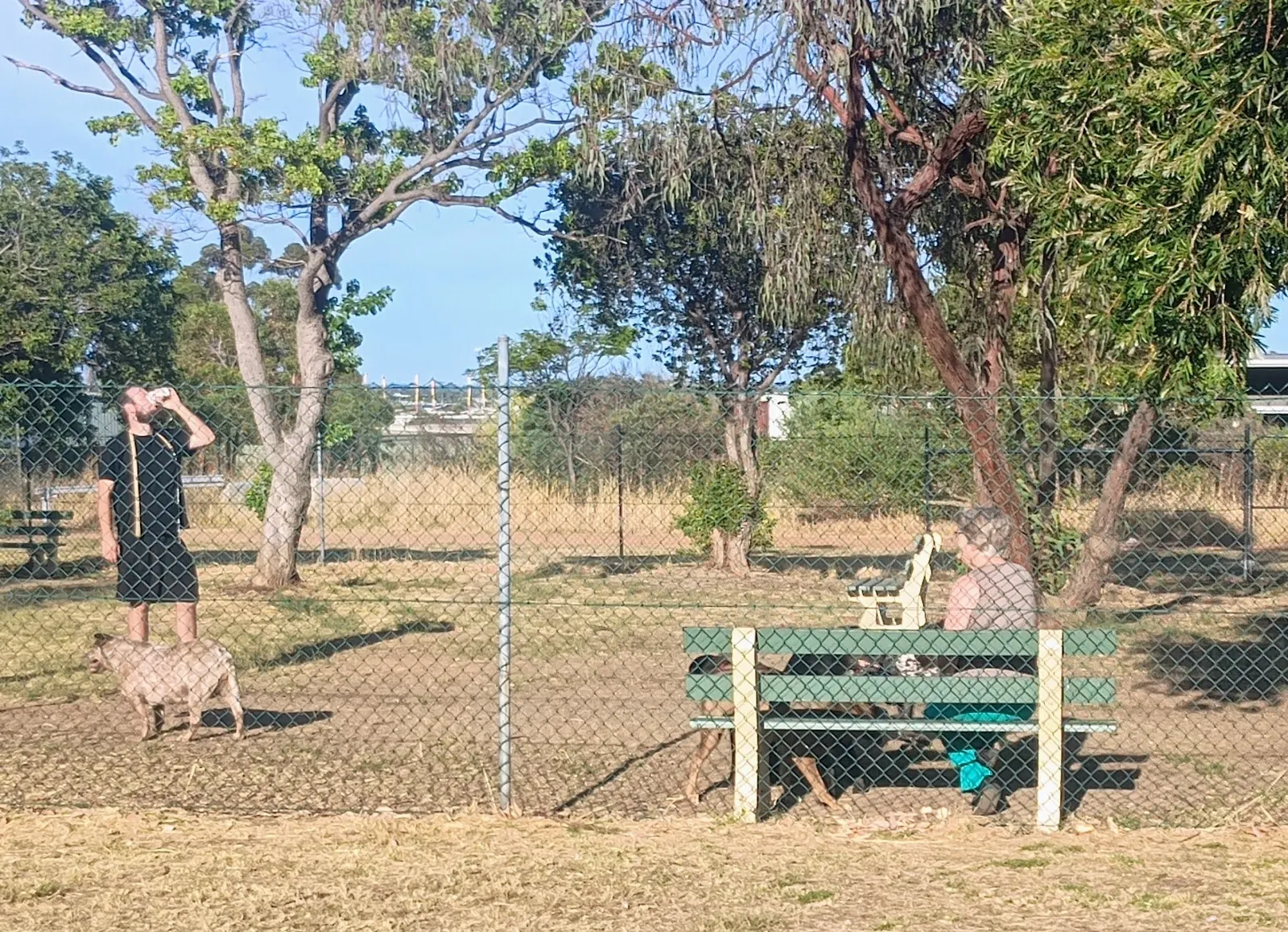 Swan View Fenced Dog Park dog park