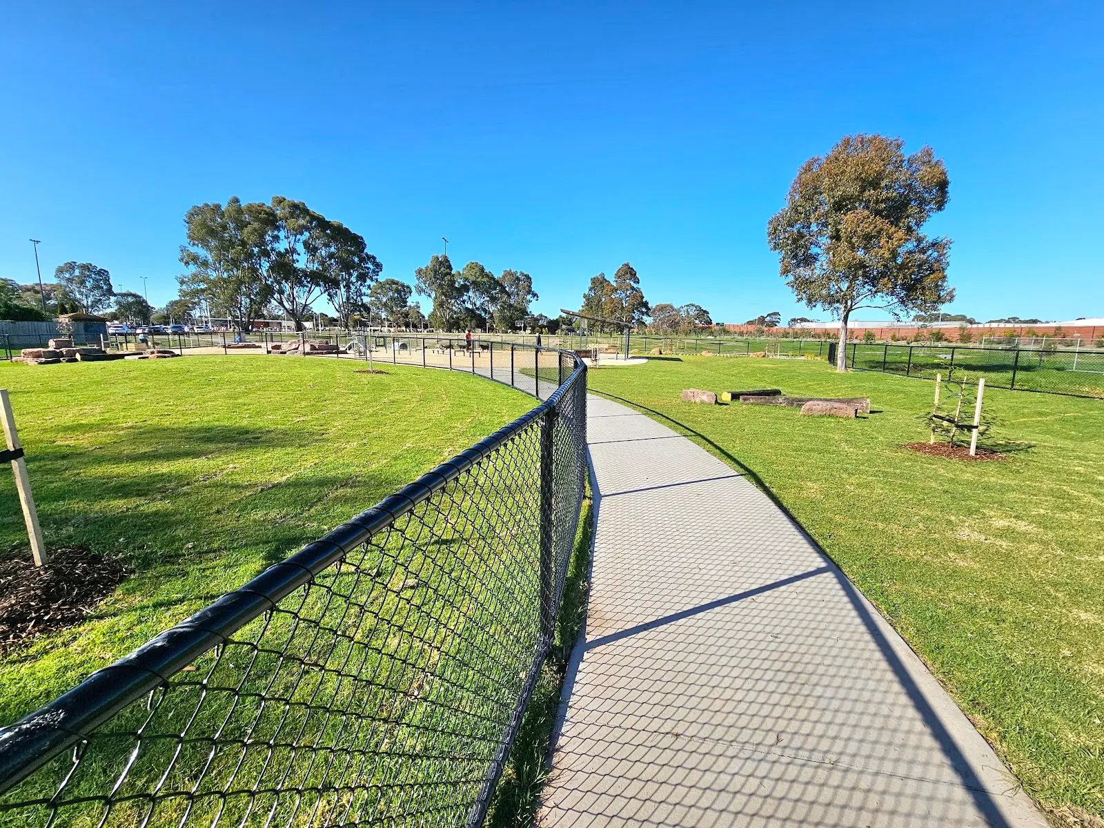 Chadwick Reserve Dog Park dog park