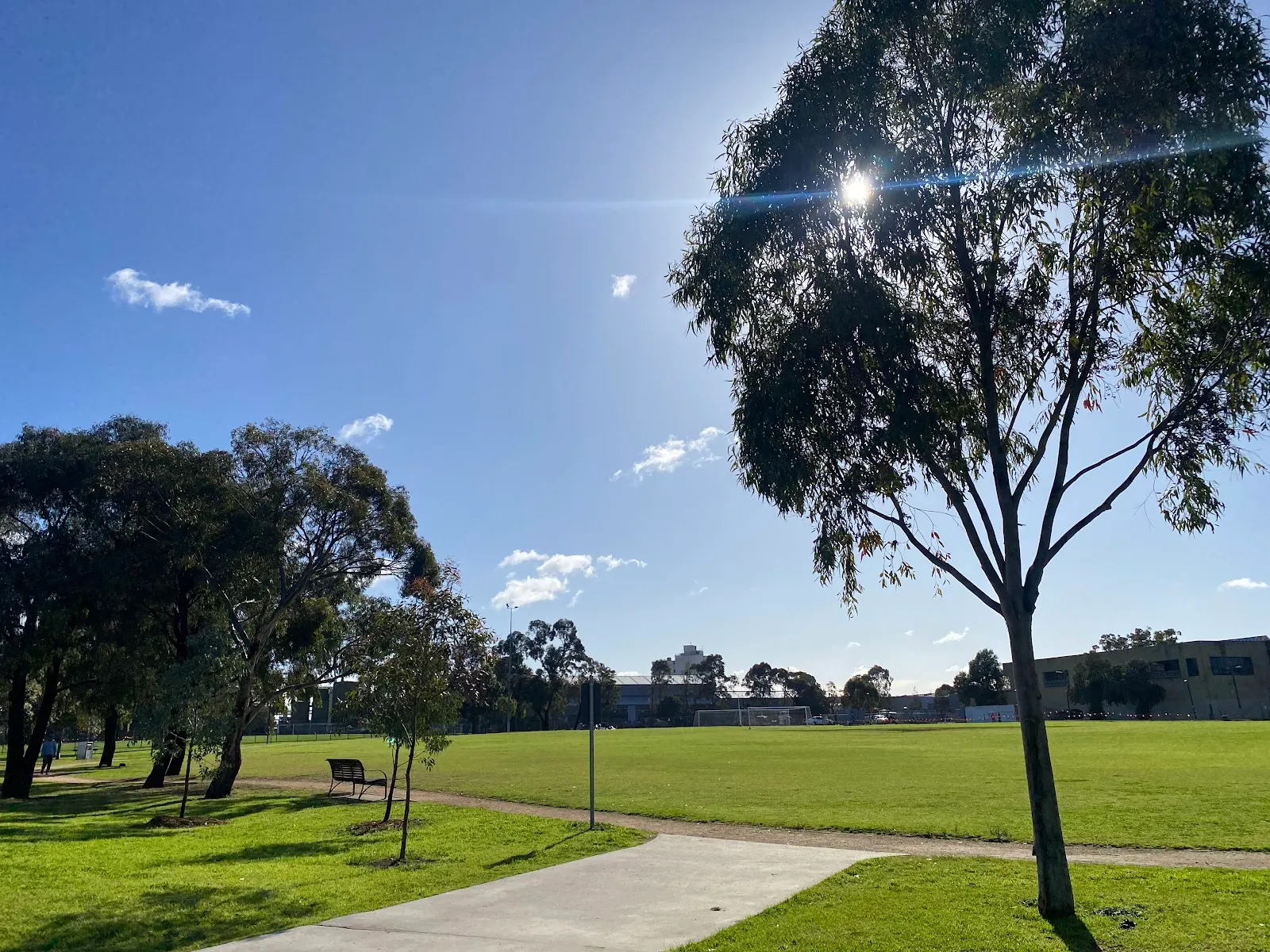 Hansen Reserve Dog Off Leash Area dog park