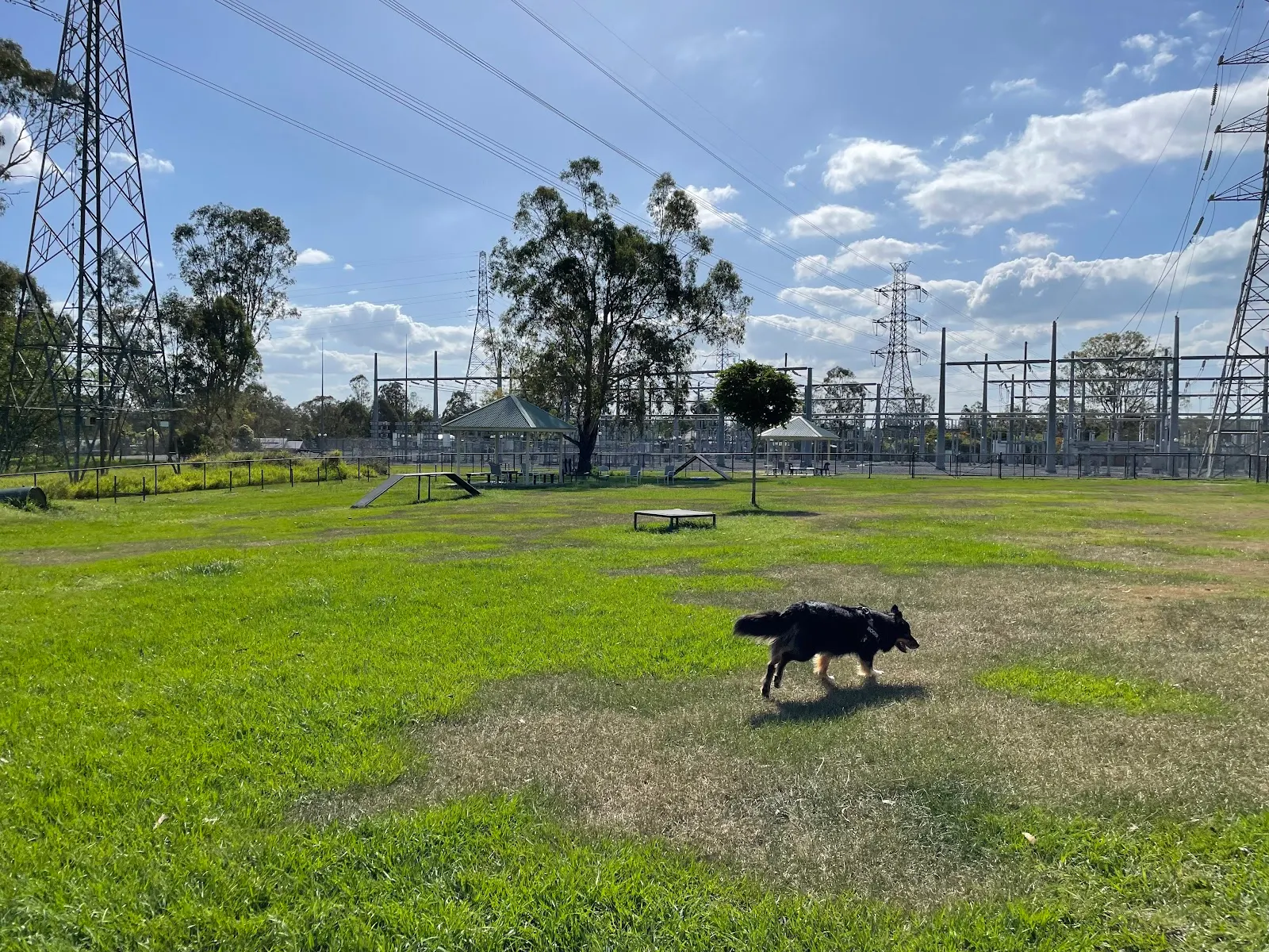 Wolston Creek Bushland Reserve Fenced Dog Park dog park