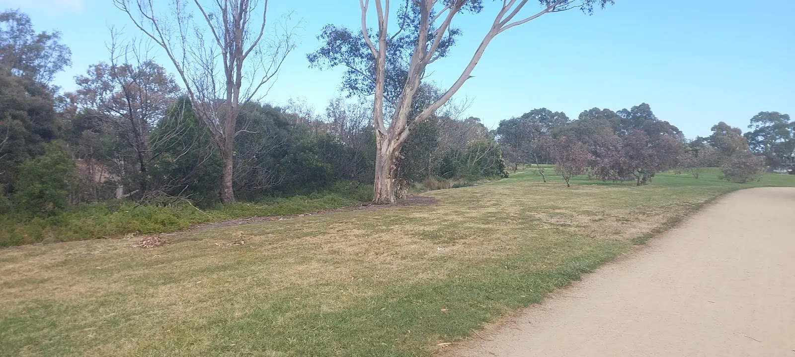George Woods Reserve Dog Off Leash Area dog park