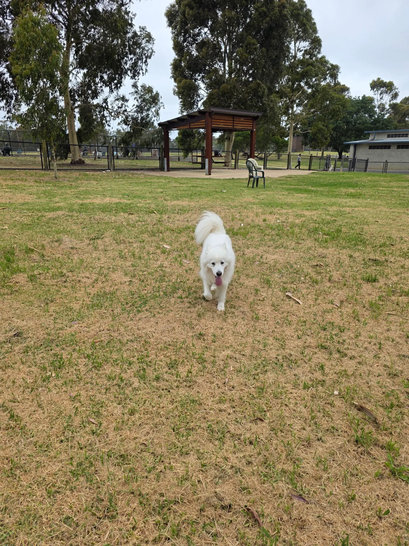 Robert Booth Reserve Dog Off Leash Area dog park
