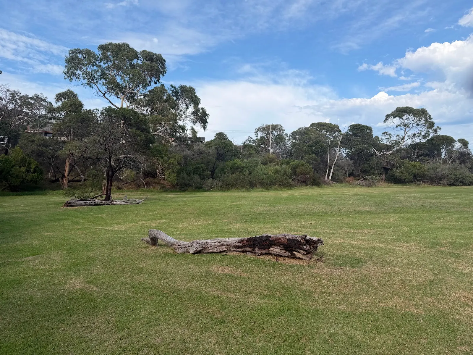 Benbenjie Reserve Dog Off Leash Area dog park