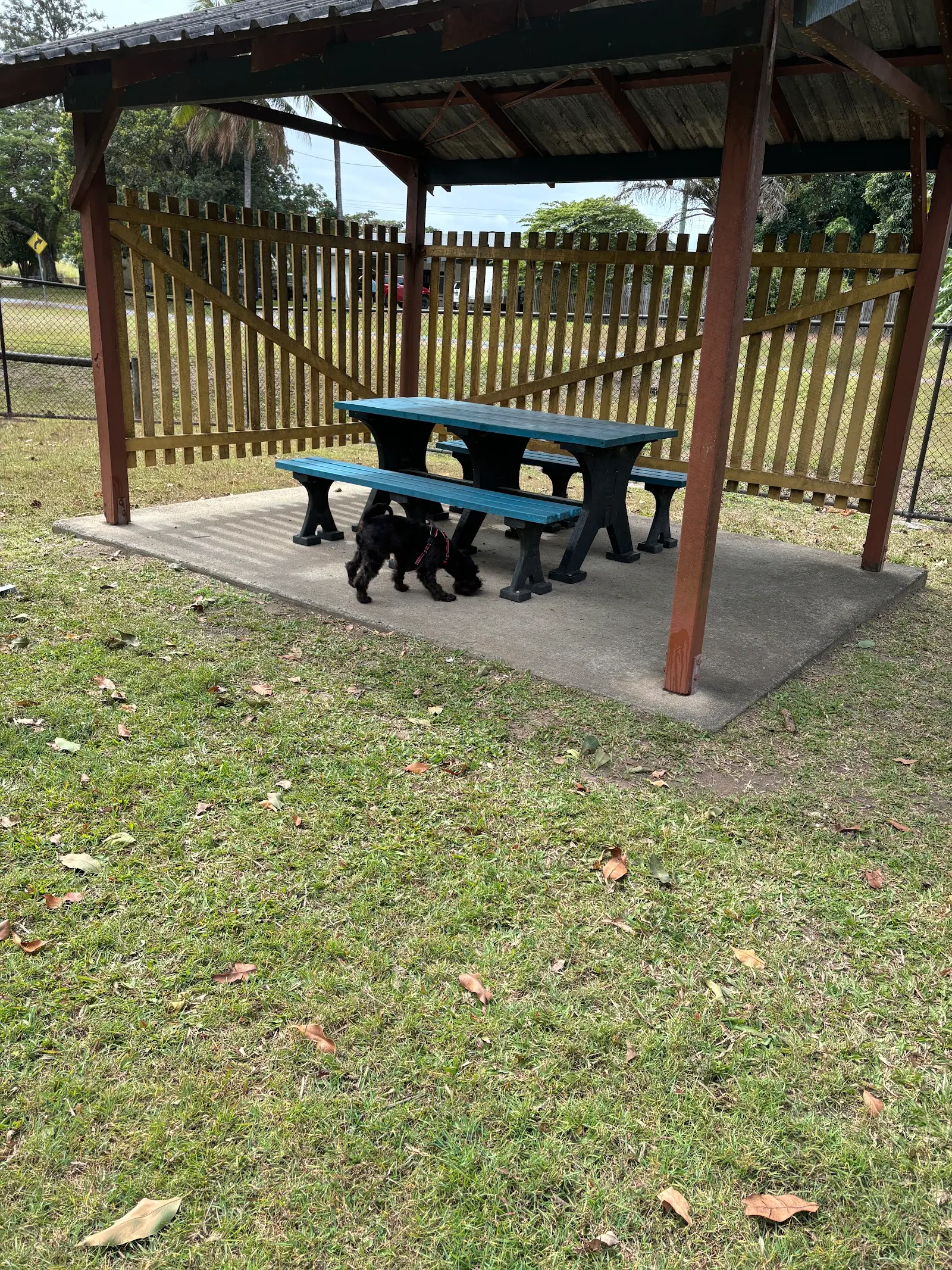 Off lead dog park dog park