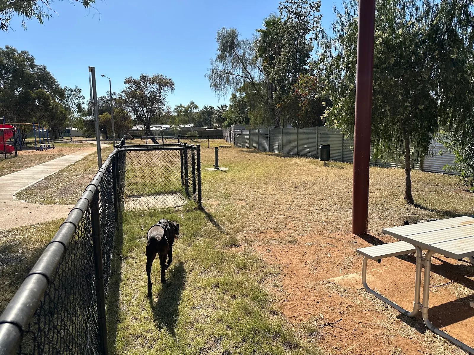 Rotaract Park Fenced Dog Park dog park
