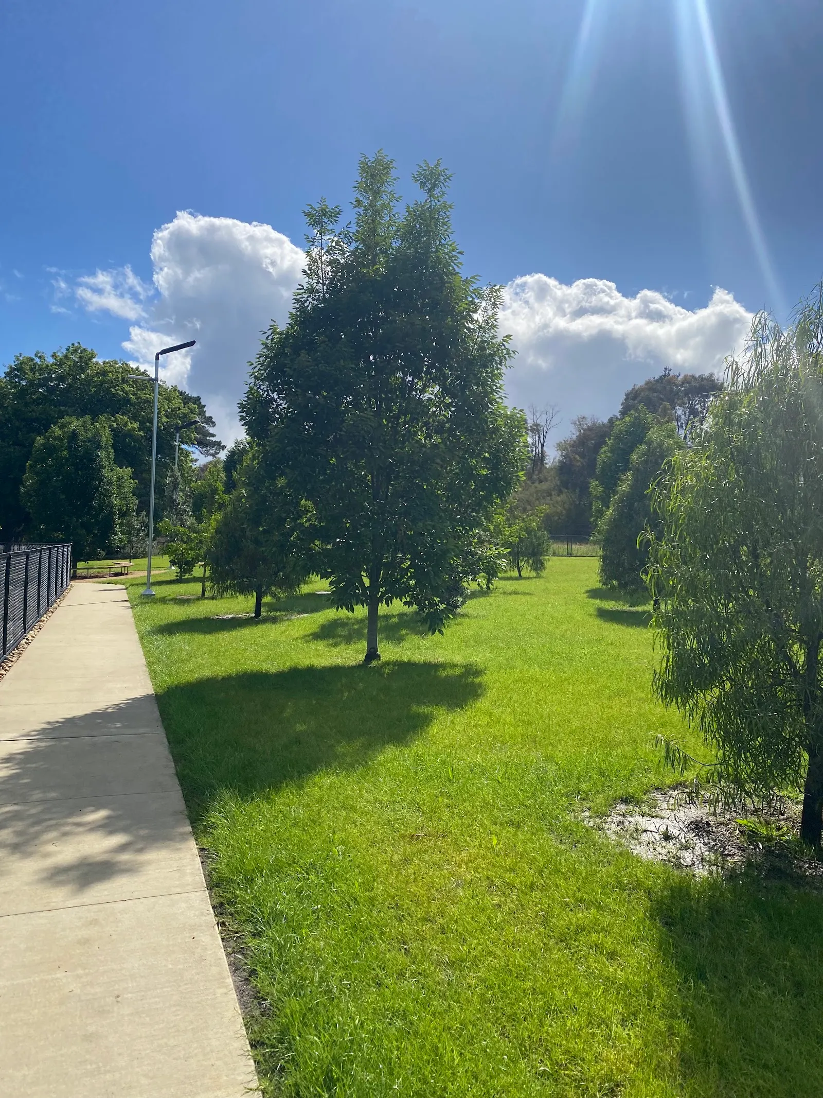 Wantirna Reserve Fenced Dog Park dog park