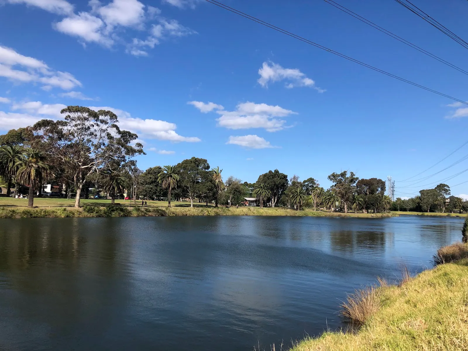 Chifley Drive Reserve Dog Off Leash Area dog park