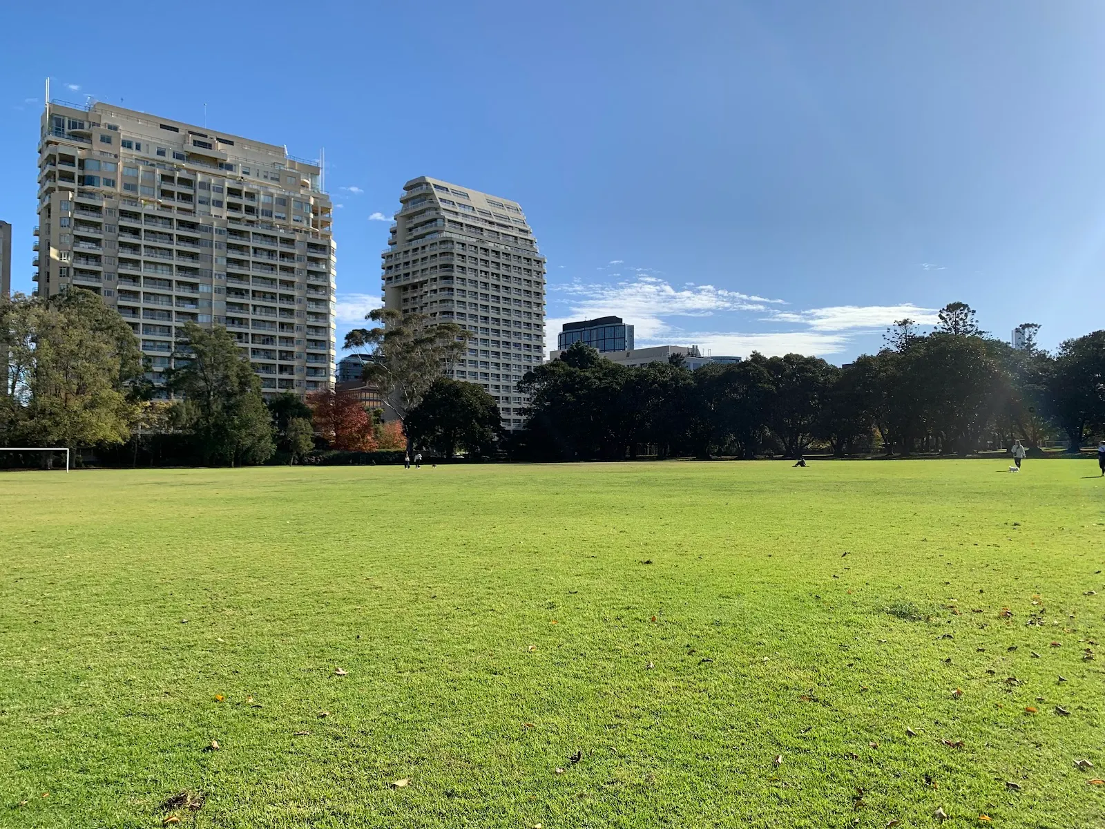 Fawkner Park Off-Leash Area dog park