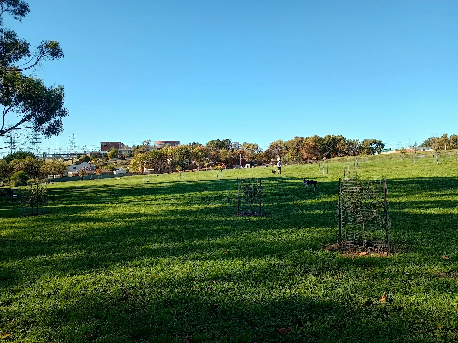 John Turnbull Park Fenced Dog Park dog park