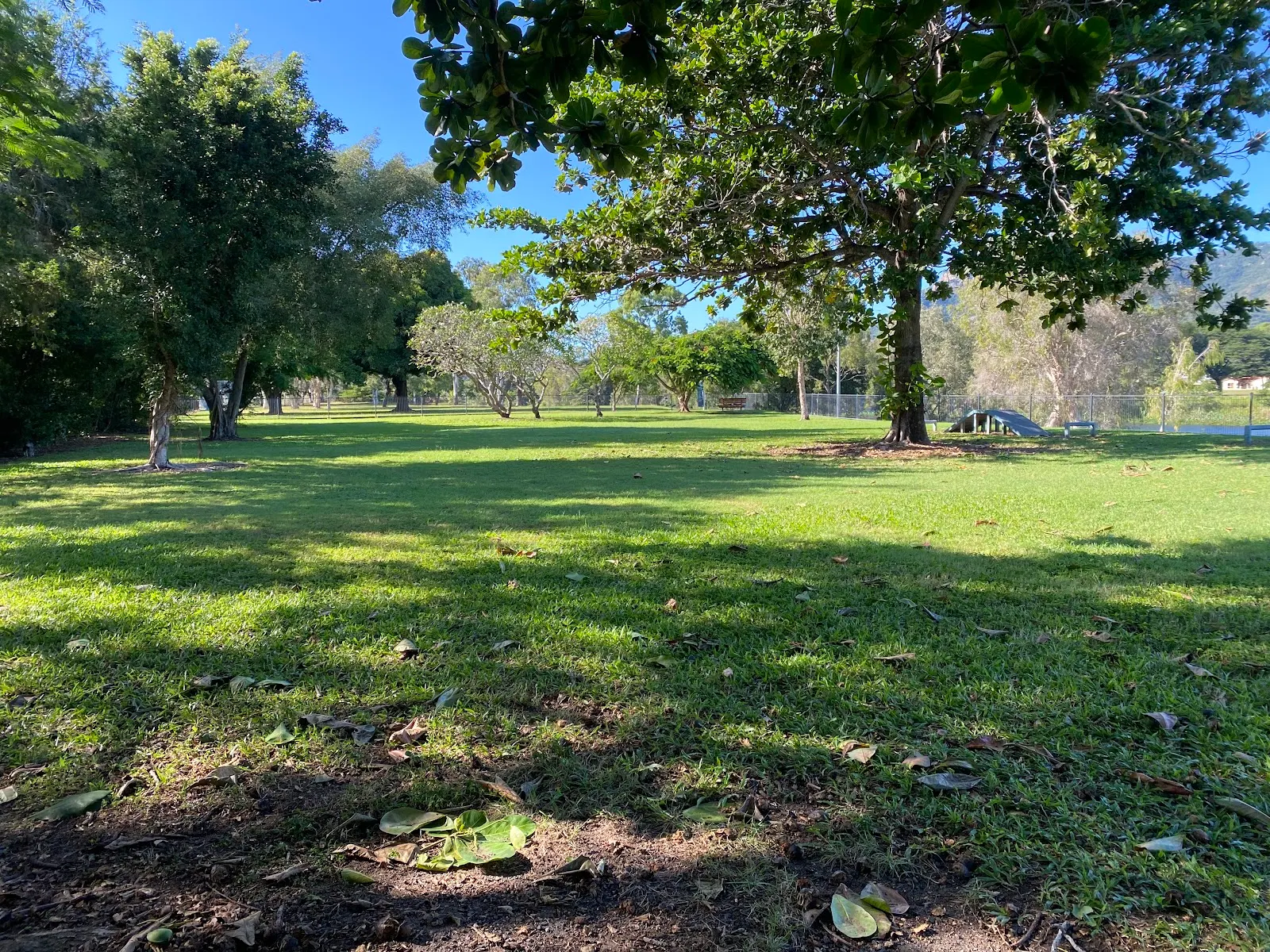 Townsville Main Dog Park dog park