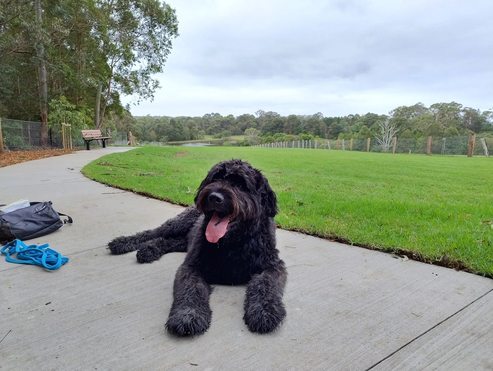Fagan Park Fenced Dog Park dog park