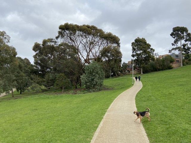 Austin Crescent Reserve Dog Off Leash Area dog park