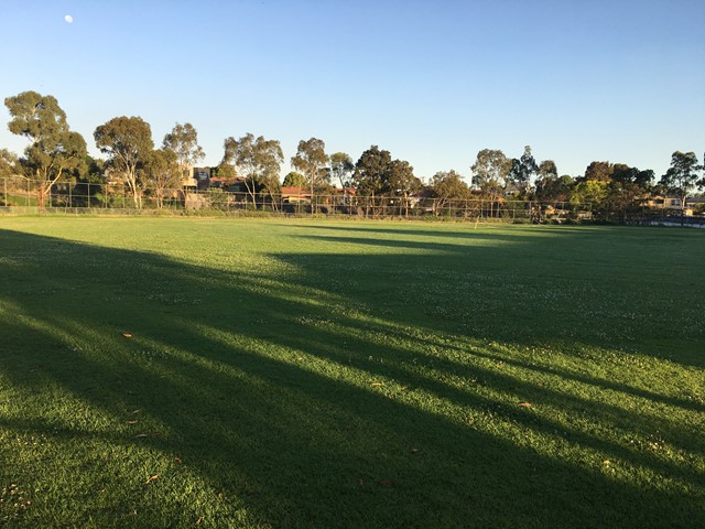Holbrook Reserve Dog Off Leash Area dog park