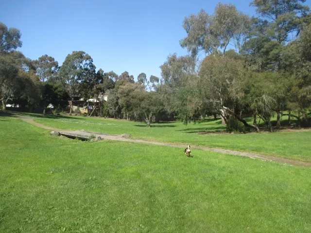Marshall Reserve Dog Off Leash Area dog park