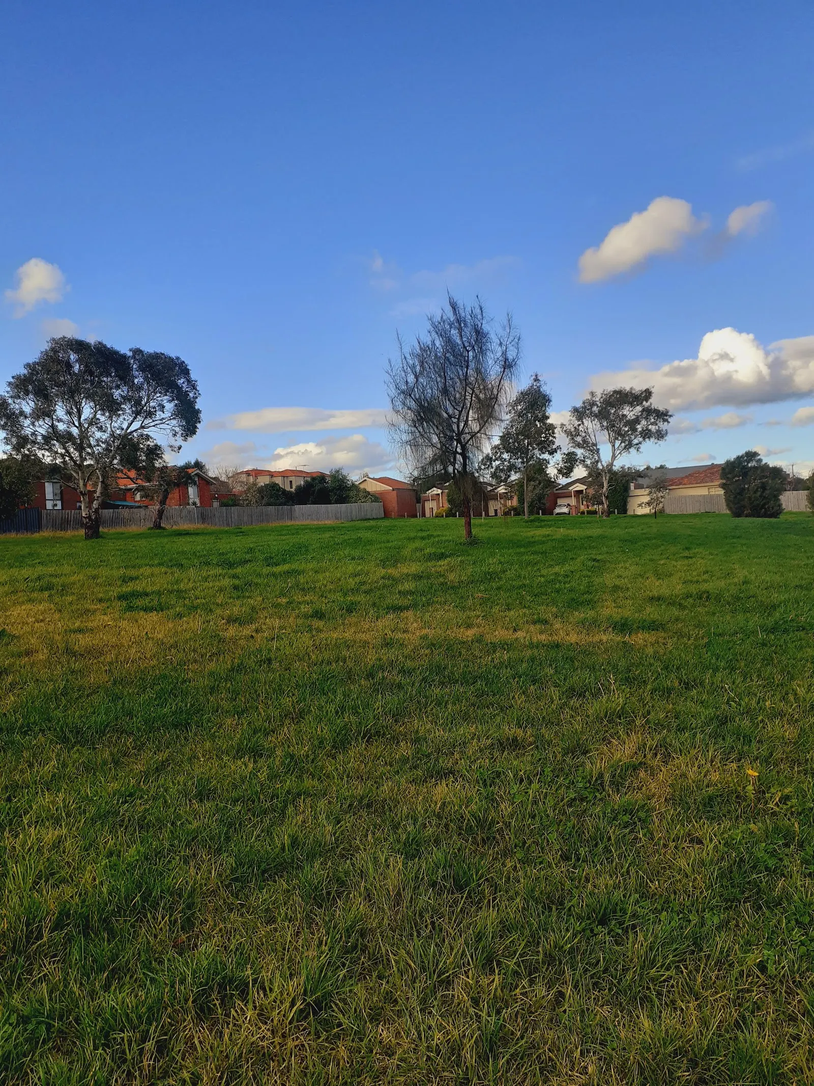 Beenak McMahon Reserve Dog Off Leash Area dog park