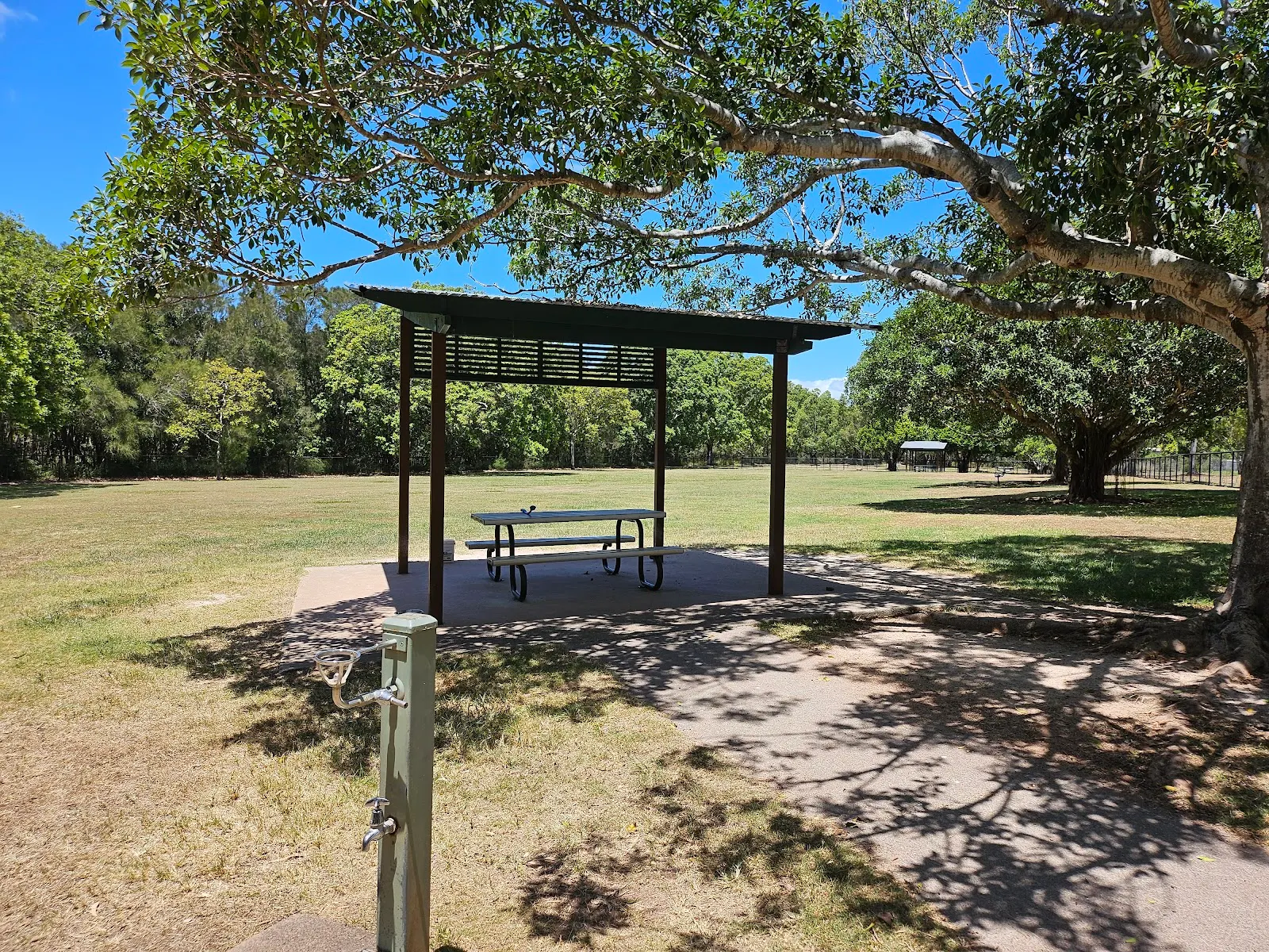 Three Paddocks Park Fenced Dog Park dog park