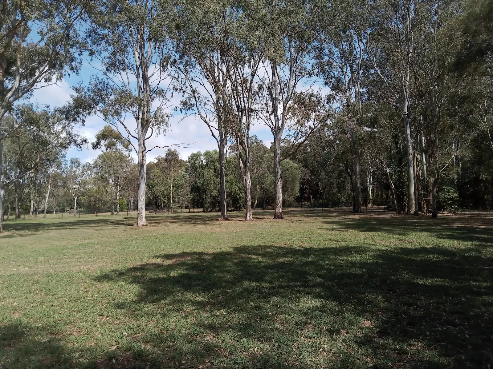Nudgee Waterhole Reserve Fenced Dog Park dog park
