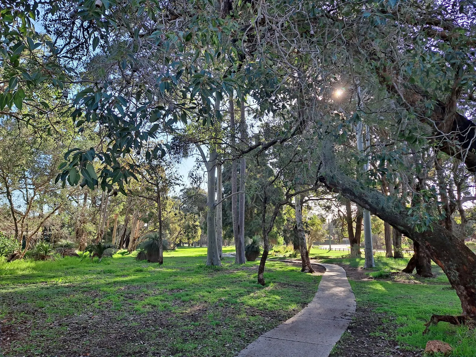 Seaton Park dog park