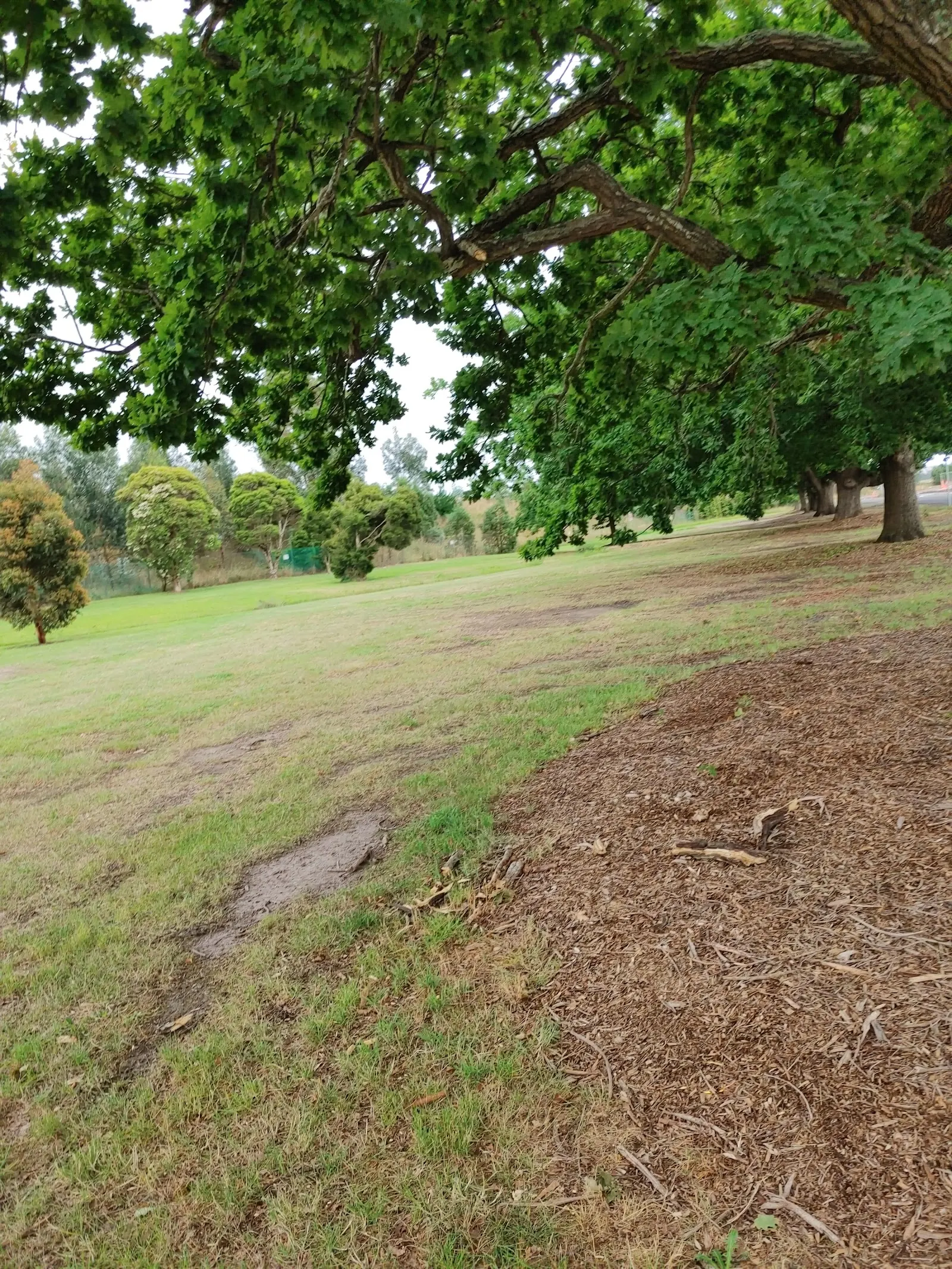Toners Lane Dog Park dog park