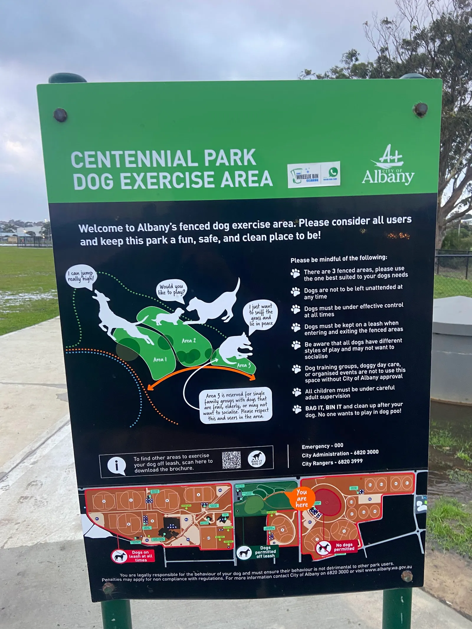 Centennial Park Dog Exercise Area dog park
