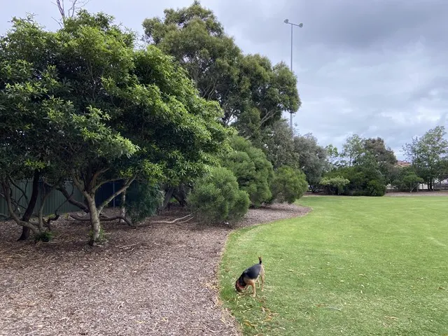 Victory Park Dog Off Leash Area dog park
