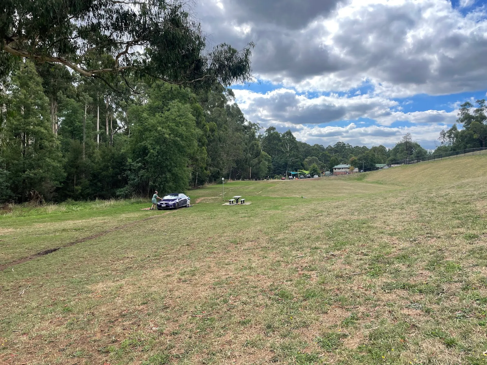 Alma Treloar Reserve Dog Off Leash Area dog park