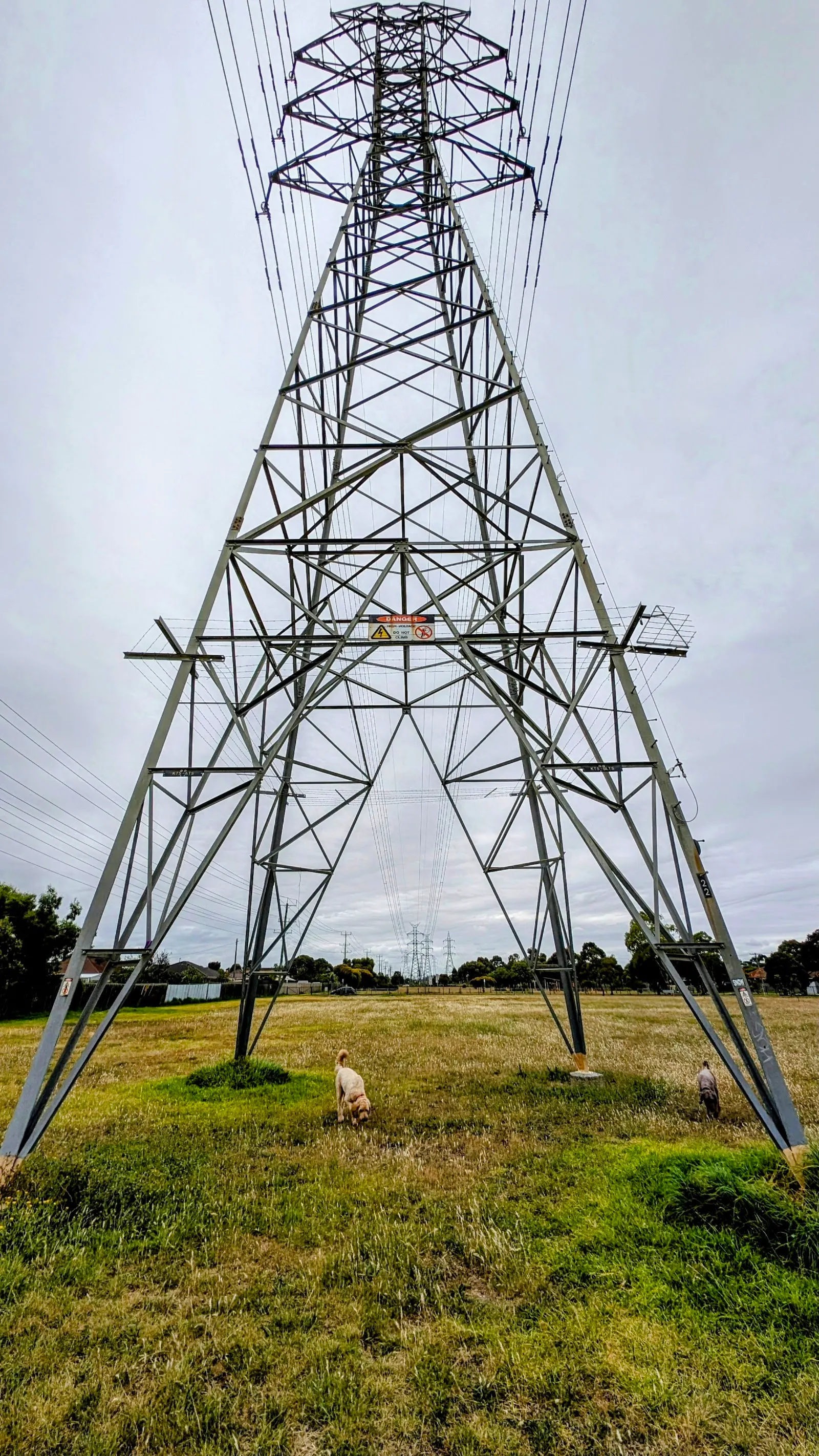 Collenso Street Electricity Easement Fenced Dog Park dog park
