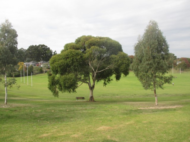 Cooper Reserve Dog Off Leash Area dog park