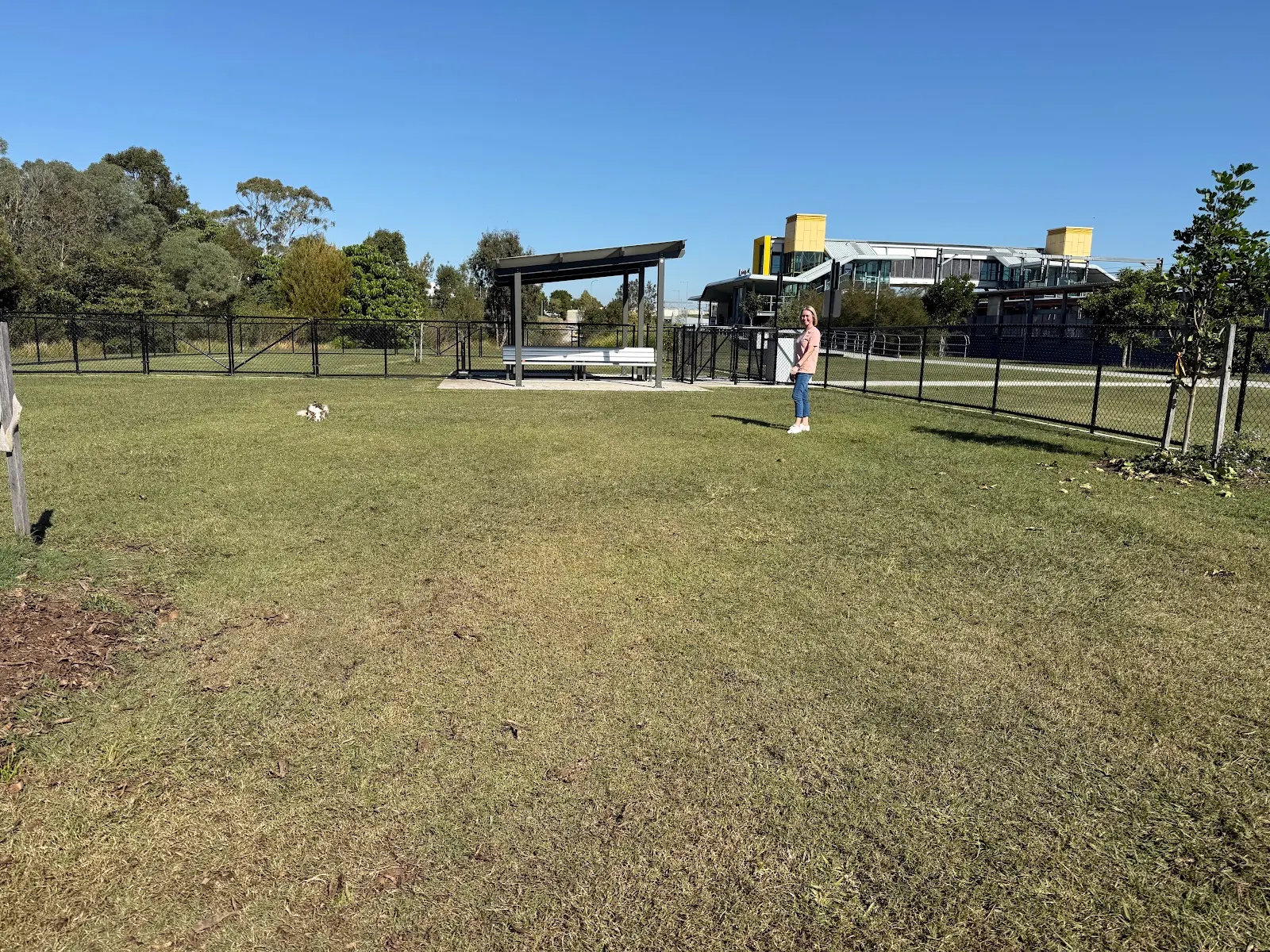 Mango Hill Train Station Dog Park dog park
