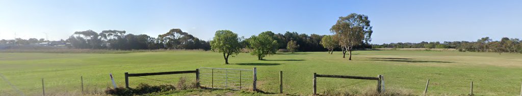Off-lead dog park dog park