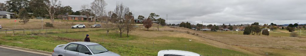 Anzac Park Fenced Dog Park dog park