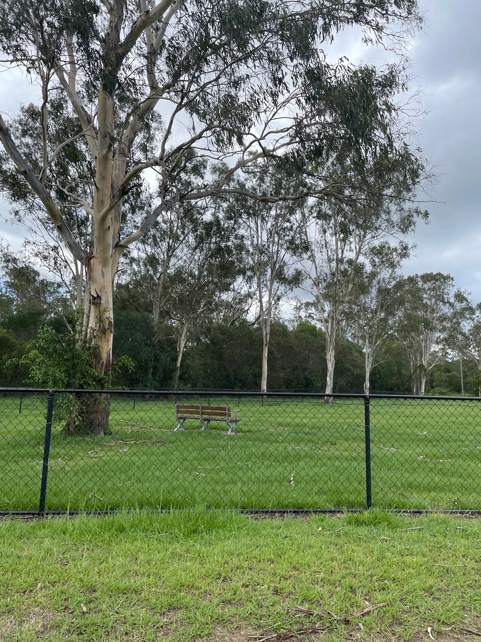 Dog Park off leash dog park
