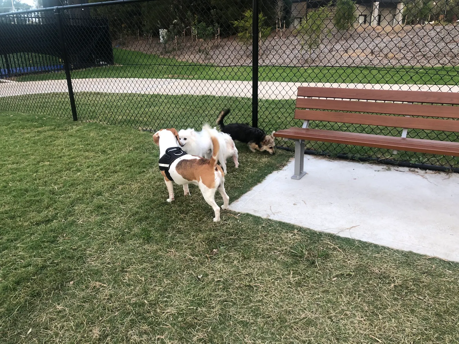 Hudson Park Fenced Dog Park dog park