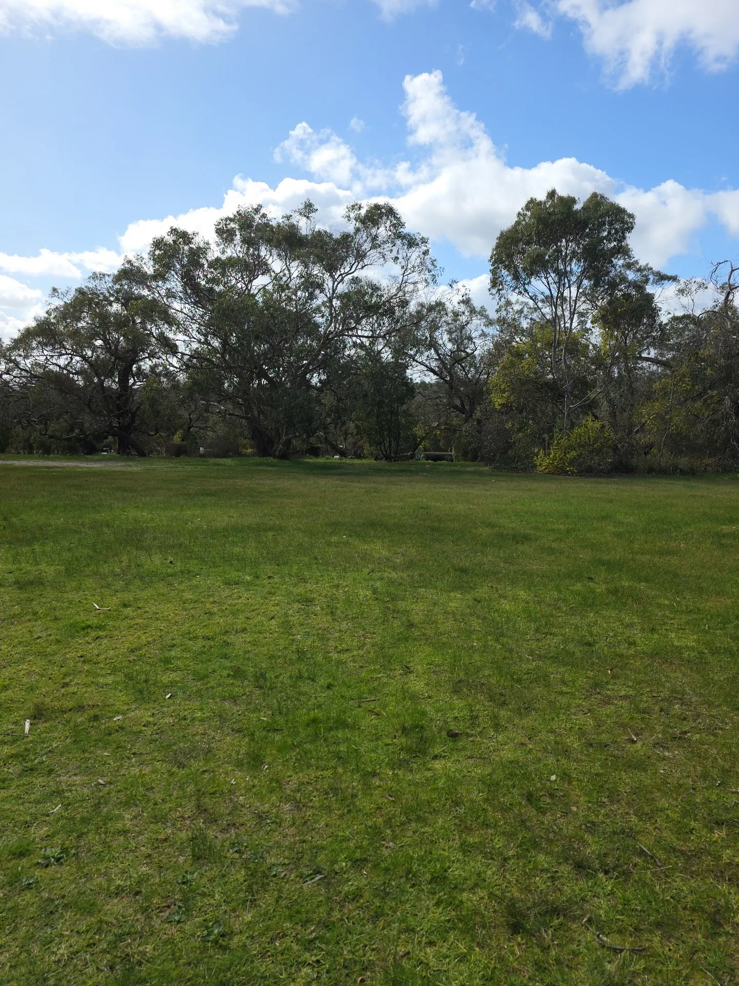 Derinya Reserve Dog Off Leash Area dog park