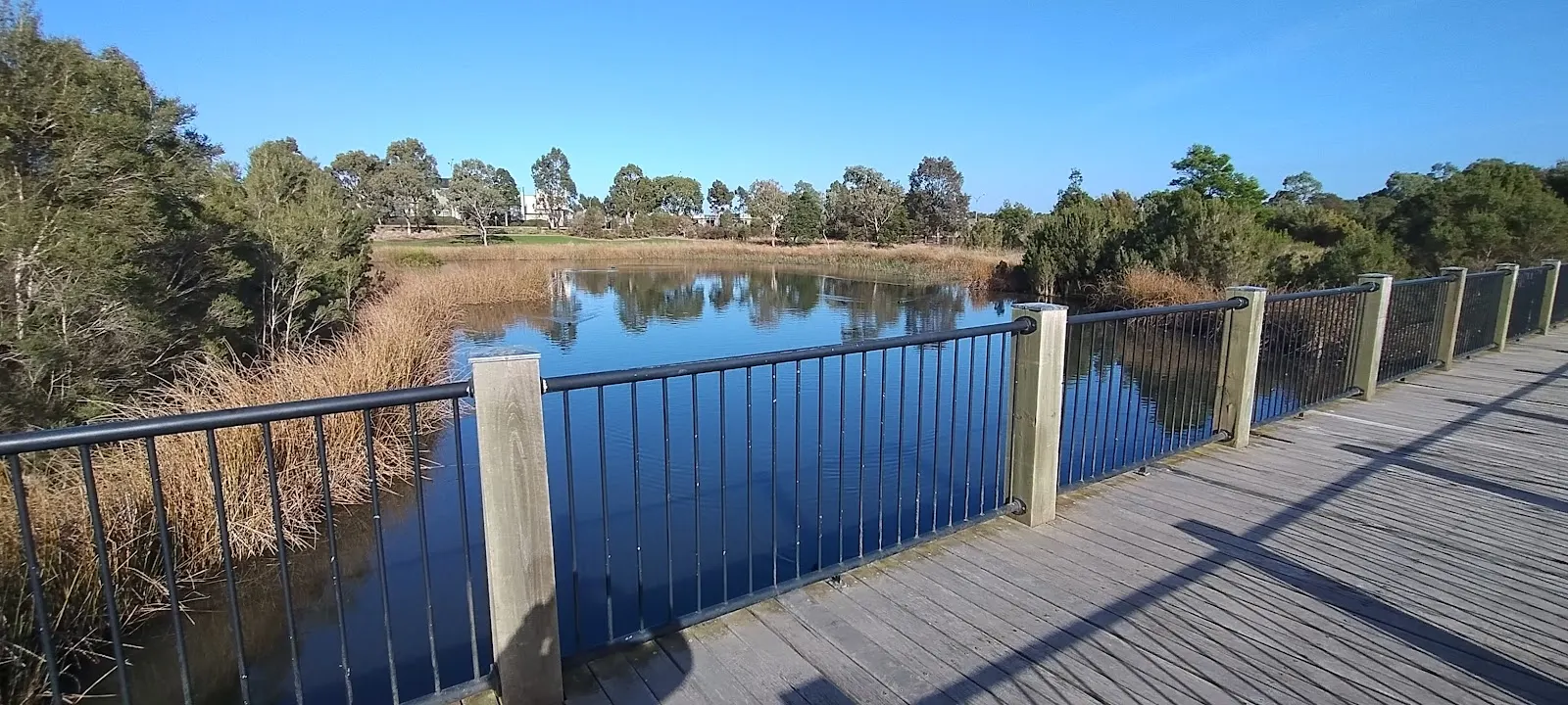 City Of Casey - Wetlands Clyde North dog park