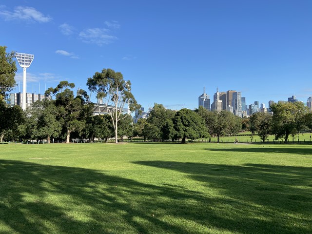 Yarra Park Dog Off Leash Area dog park