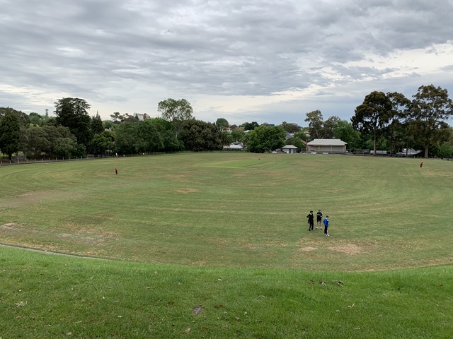 Rathmines Reserve Dog Off Leash Area dog park