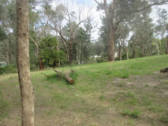 Woolerton Reserve Dog Off Leash Area dog park