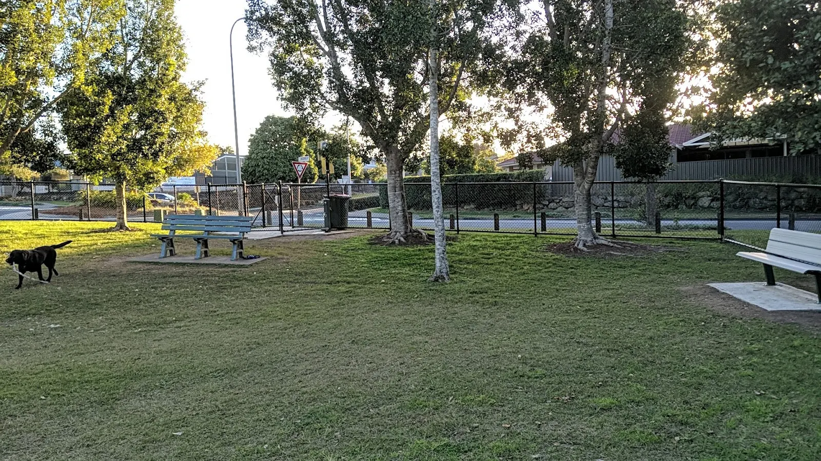Drewvale Offleash Dog Park dog park