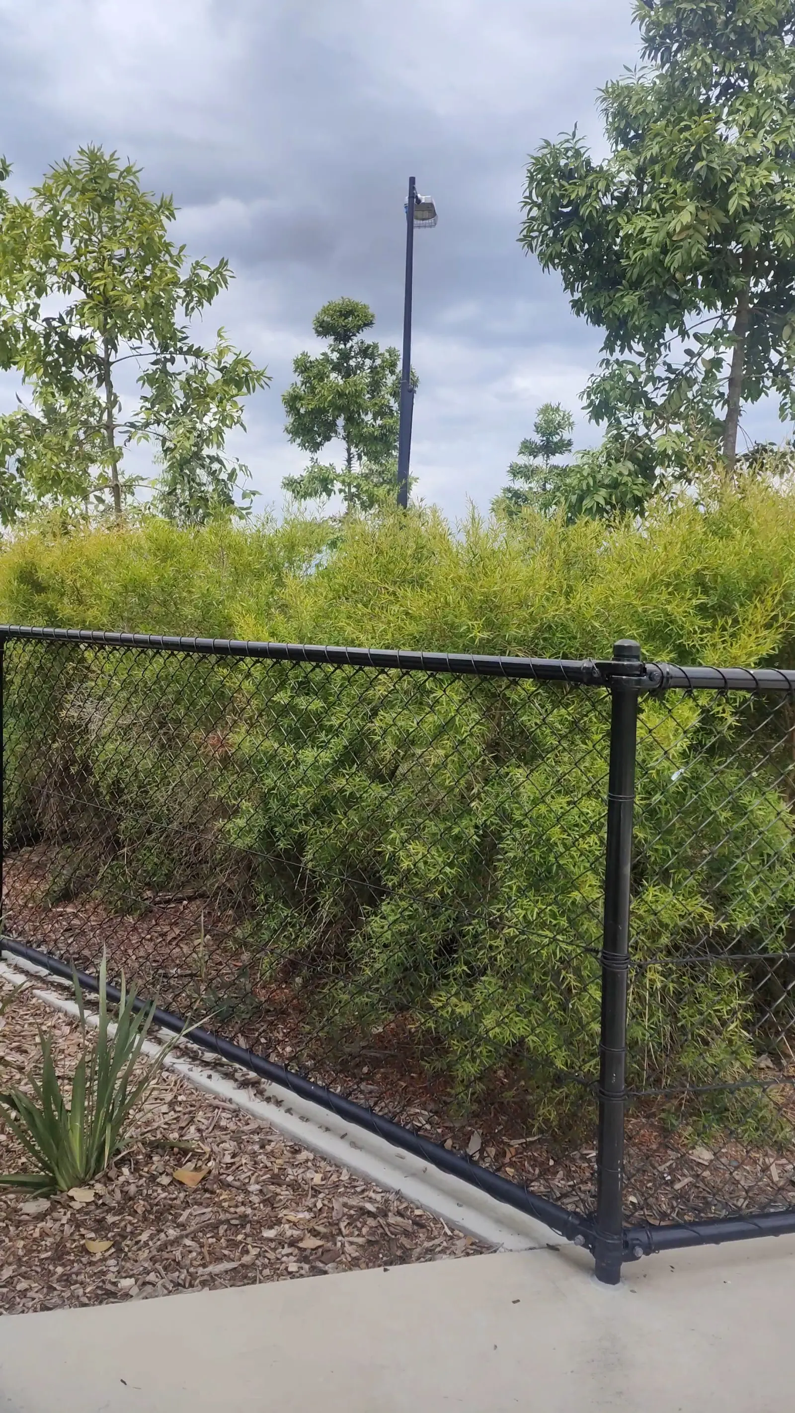 Everleigh Dog Park dog park