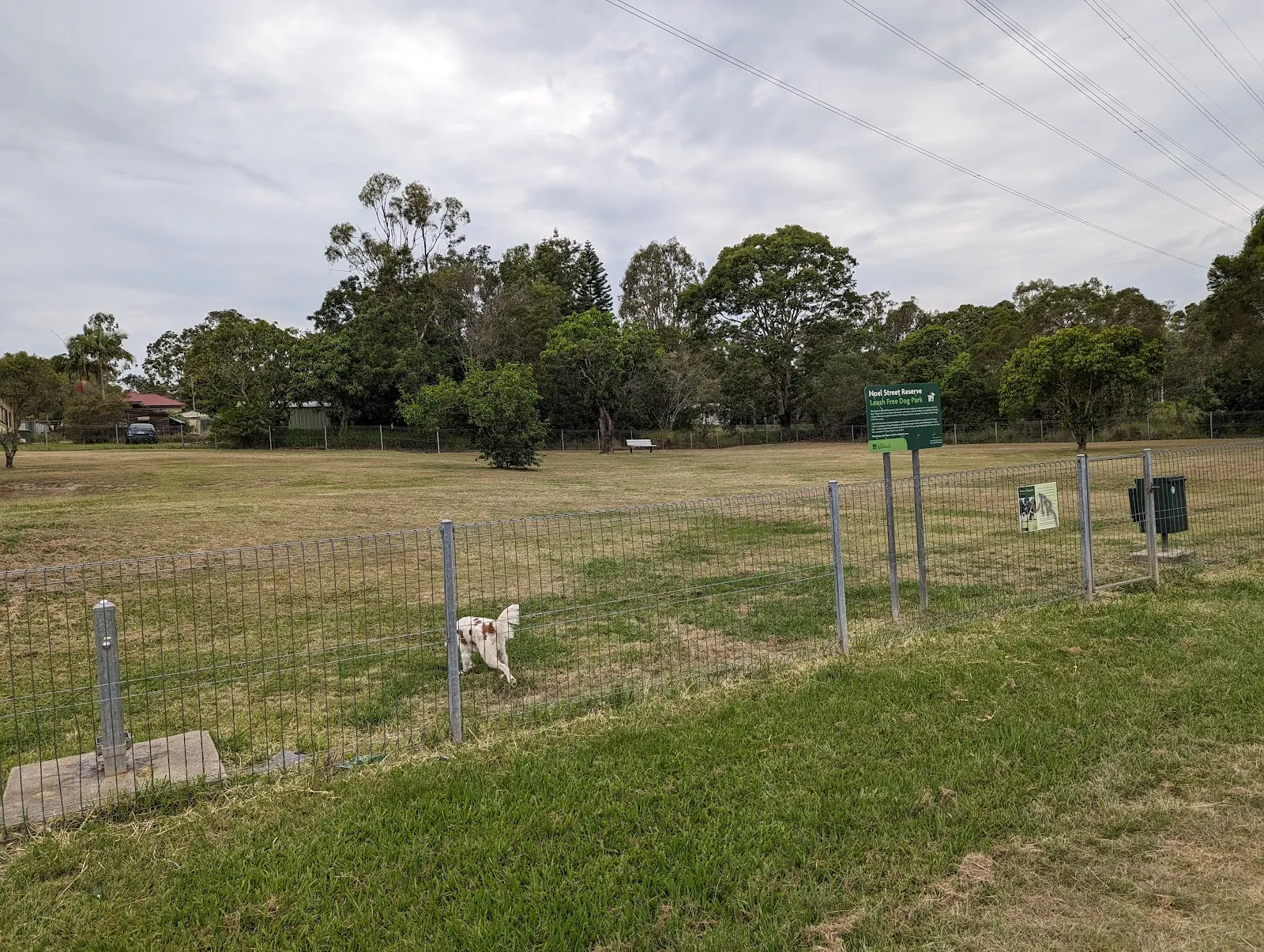 Noel Street Dog Park dog park