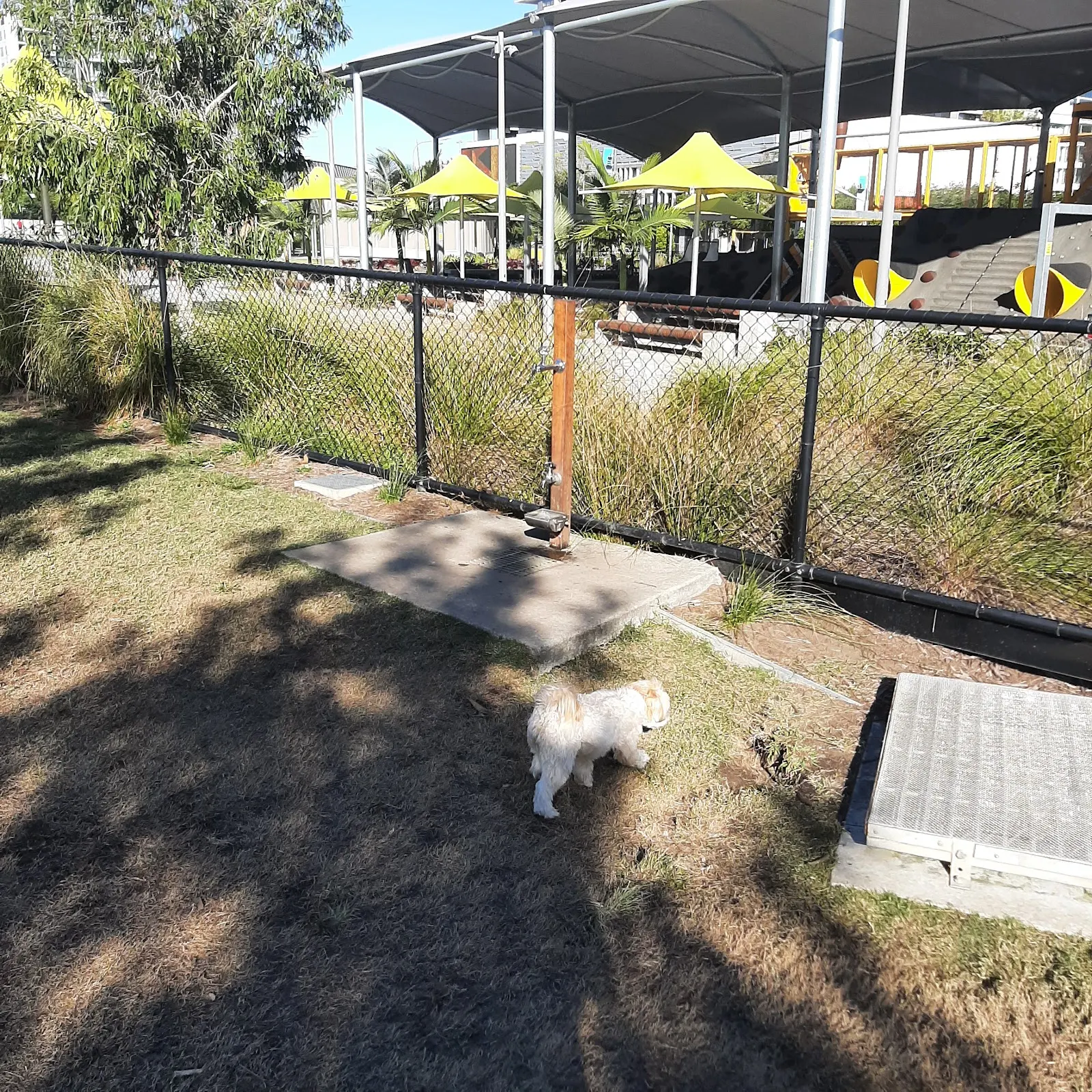 Hercules Street Park Fenced Dog Park dog park